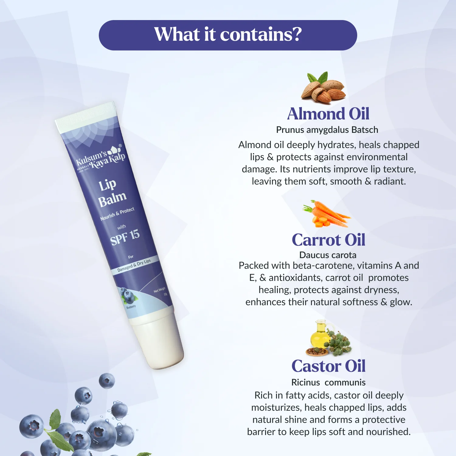 Lip Balm Pack of 4 Blueberry, Vanilla, Mango & Strawberry Lip Balm - Image 3